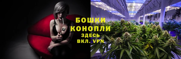 шишки Козловка