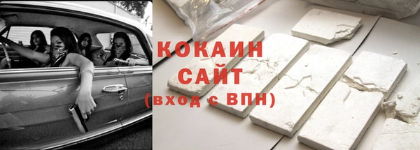 шишки Козловка