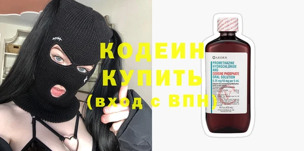 шишки Козловка