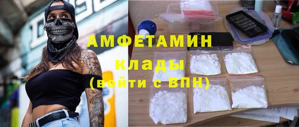 шишки Козловка