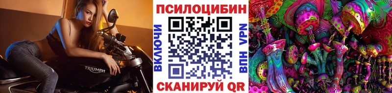 Псилоцибиновые грибы MAGIC MUSHROOMS  наркотики  Ковров 